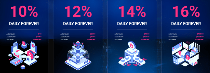 Investment plans of the Zolibit project