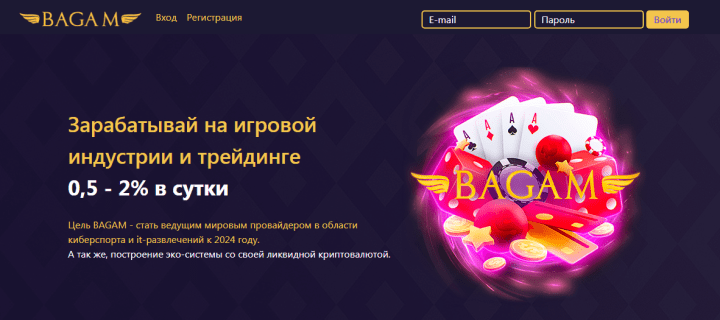 Обзор проекта Bagam