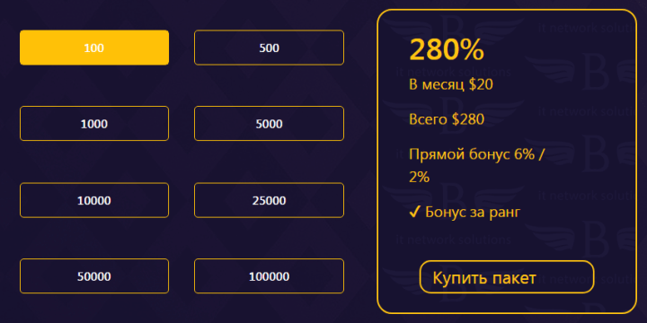 Инвестиционные планы проекта Bagam