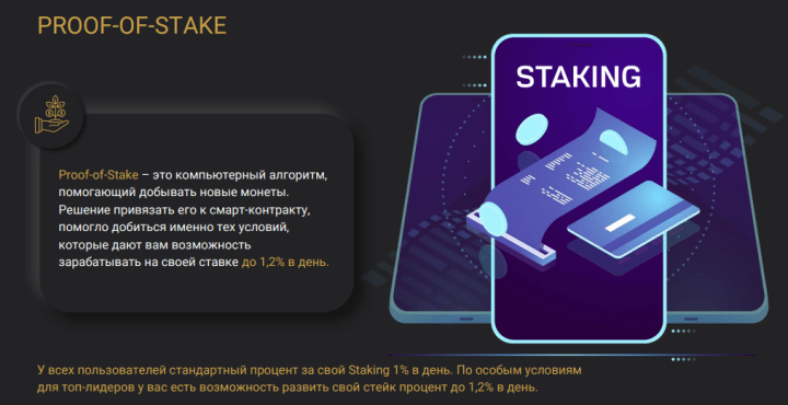 Program inwestycyjny projektu Energyemg