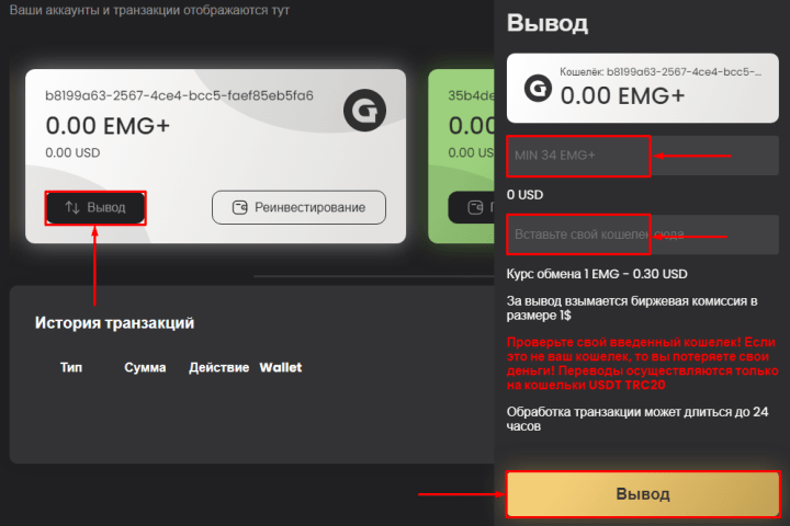 Вывод средств в проекте Energyemg