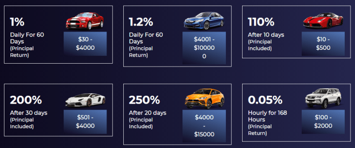 Planes de inversión del proyecto Zoom Cars