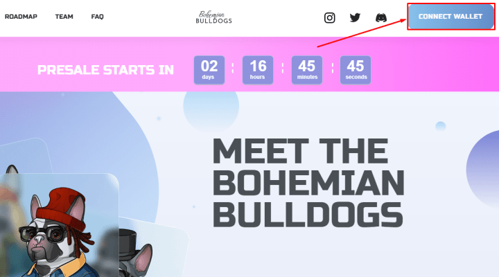 Connecting a wallet in the Bohemian Bulldogs project