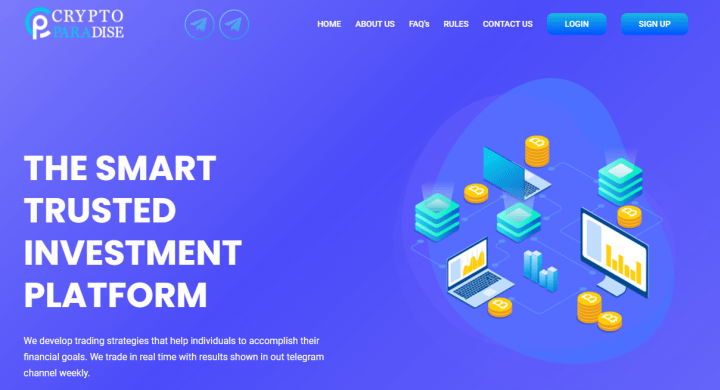 Cryptoparadise project overview
