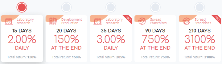 Investment plans of the Meatex project