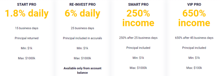 Investment plans for the X100 Fund project