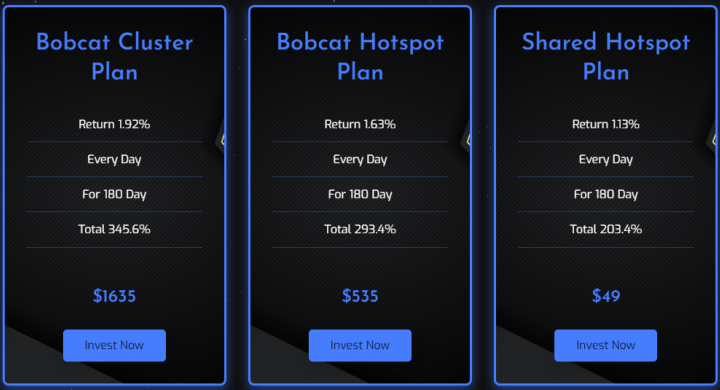 Investment plans of the Helium Rent project