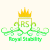 Обзор проекта Royal Stability