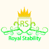 Tổng quan về dự án Royal Stability