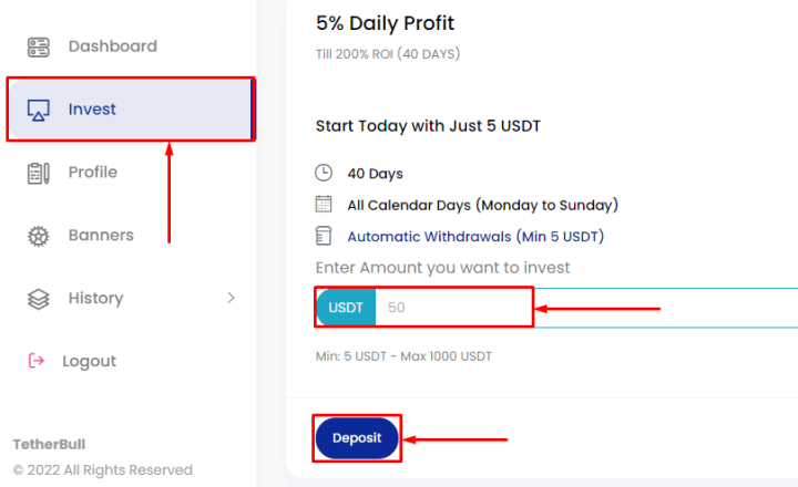 Creating a deposit in the Tetherbull project