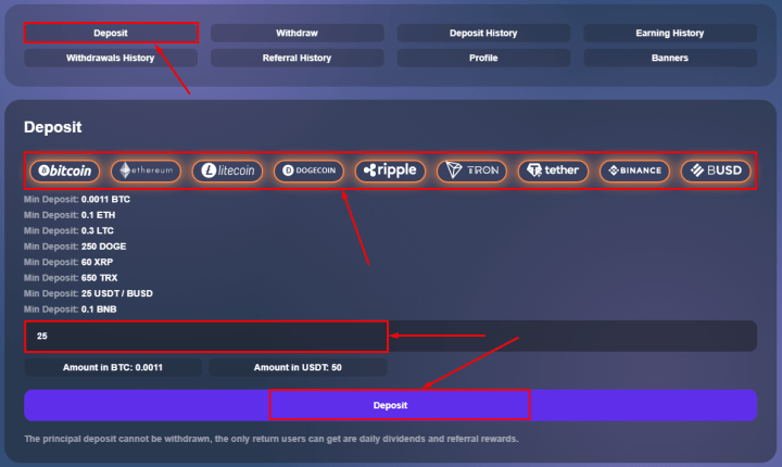 Creating a deposit in the UsdBull project