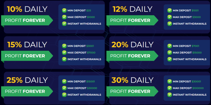 Investment plans of the Neobit project