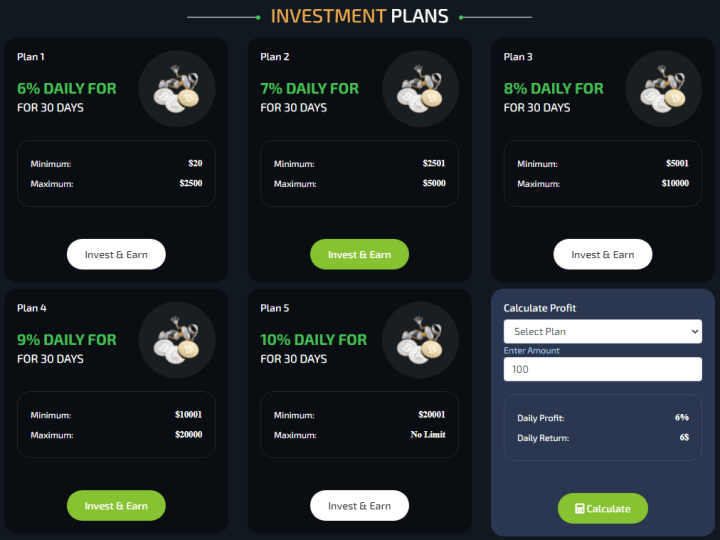 Investment plans of Quisitive project