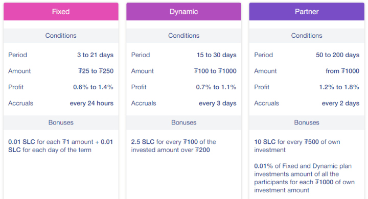 Investment plans of the Seallex project