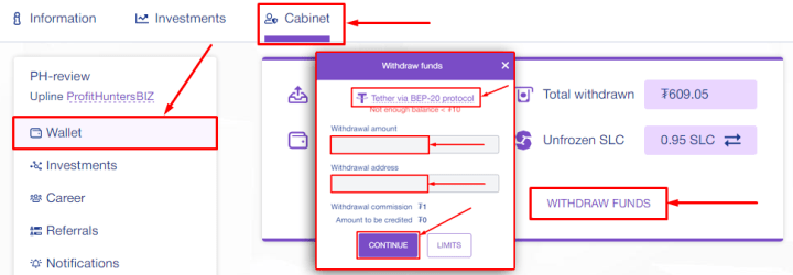 Вывод средств в проекте Seallex