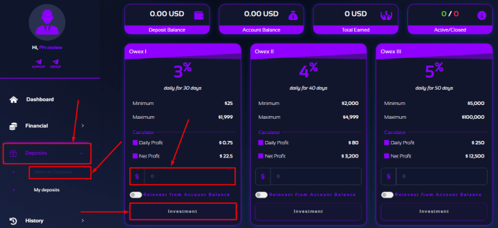 Creating a deposit in the Owex Finance project