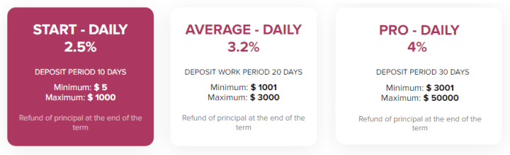 Investment plans of the Martel Club project