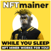 Обзор проекта NFTmainer