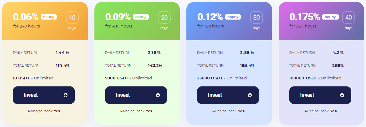 Инвестиционные планы проекта BitQuad