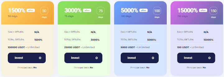 Investment plans of the BitQuad project