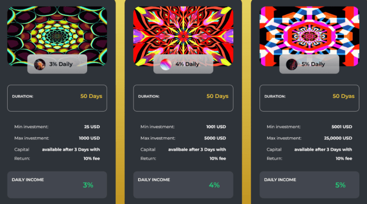 Investment plans of the Magfier project