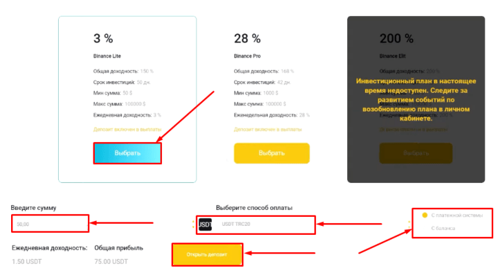 Creating a deposit in the BinaTeam project