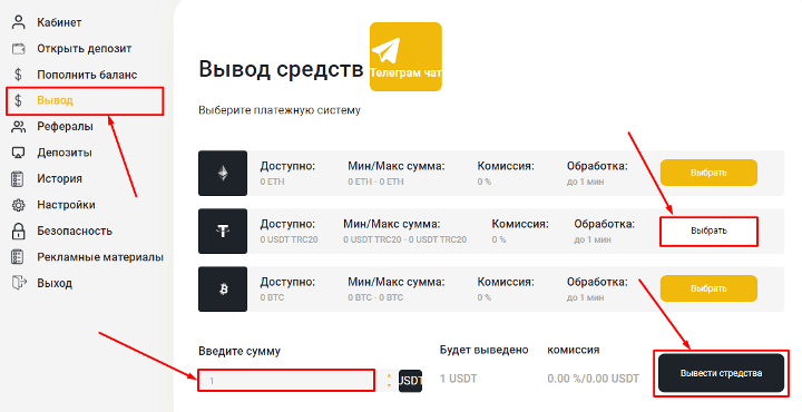 Вывод средств в проекте BinaTeam