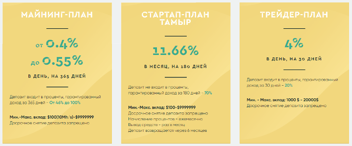 Investment plans of the Crocus project