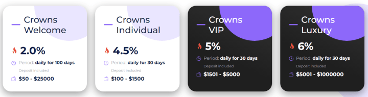 Инвестиционные планы проекта Crownsic