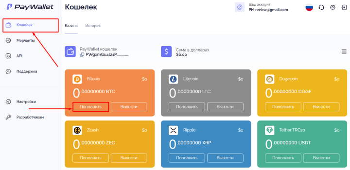 Replenishment of the account in the wallet PayWallet