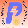 Обзор кошелька PayWallet