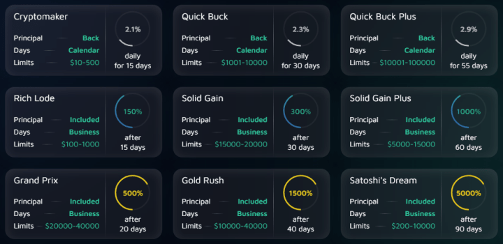 Investment plans of the Rezlet project