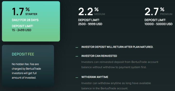 Investment plans of the BertusTrade project