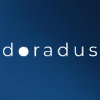 Обзор проекта Doradus