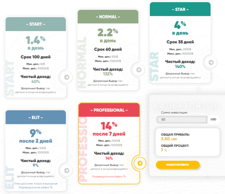 Investment plans of the FinaTeam project