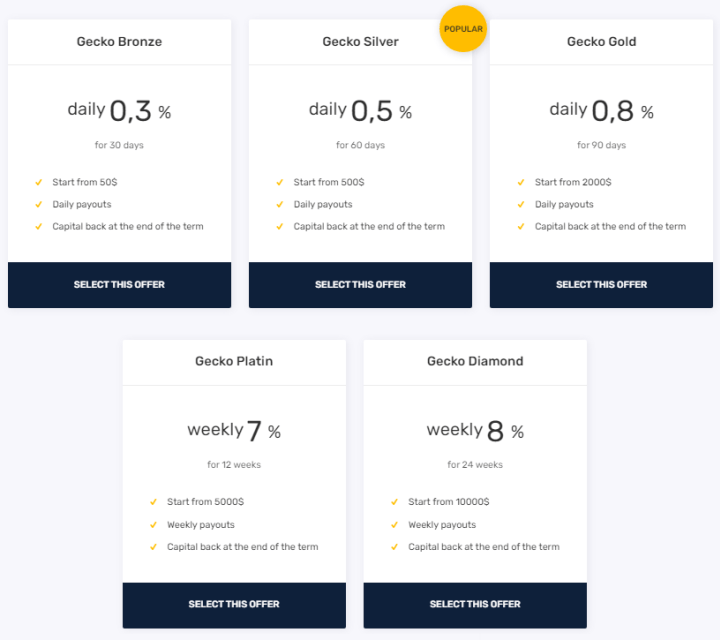 Investment plans of the GeckoBit project