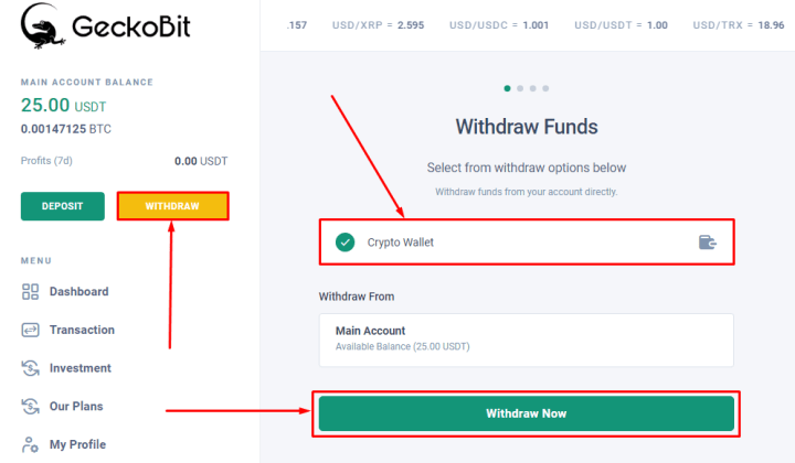 Wypłata środków w projekcie GeckoBit