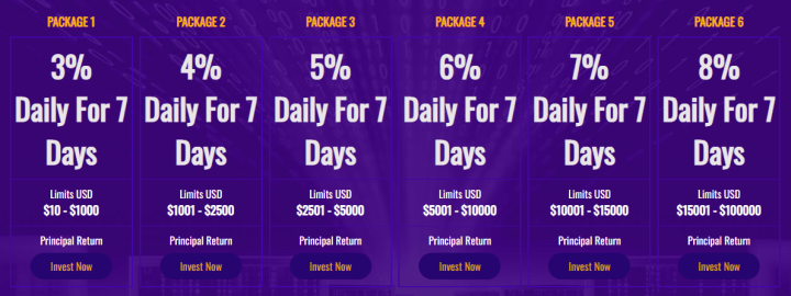 Investment plans of the Stall Trade project