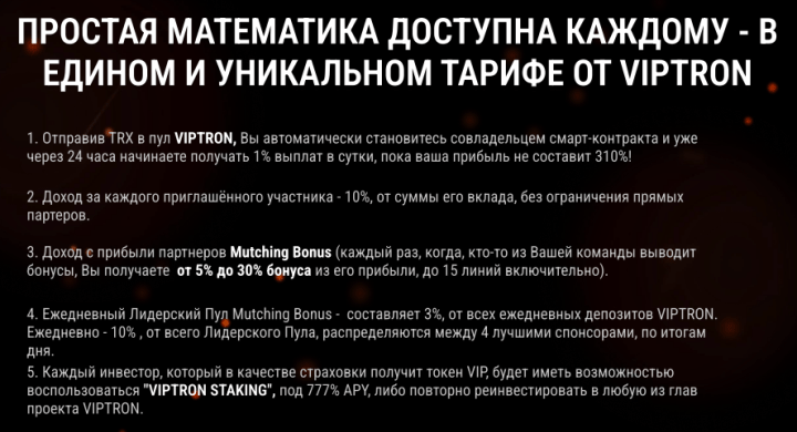 Marketing projektu VipTron