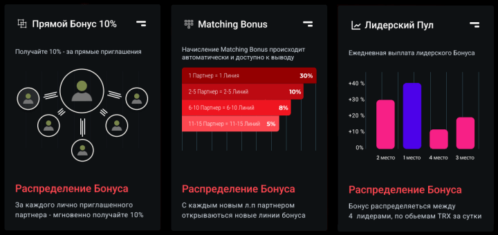 Program partnerski projektu VipTron