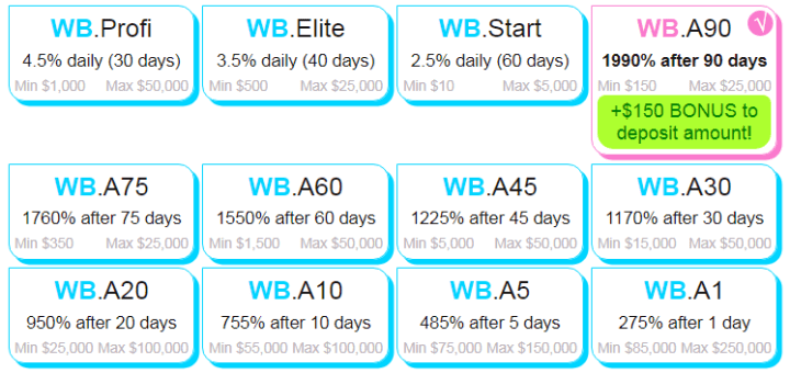 Investment plans of the WiseBet Online project