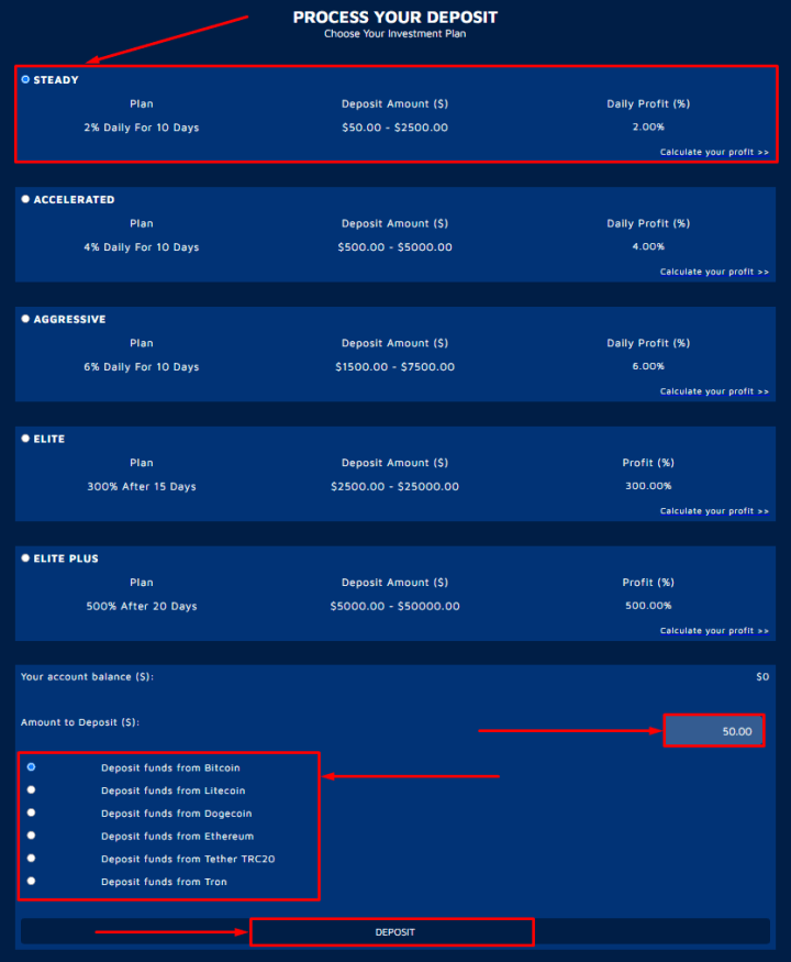 Creating a deposit in the EliteFundsMan project