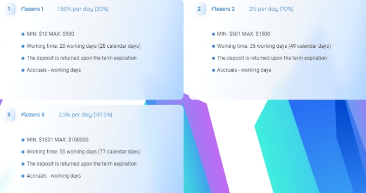 Investment plans of the Flezers project