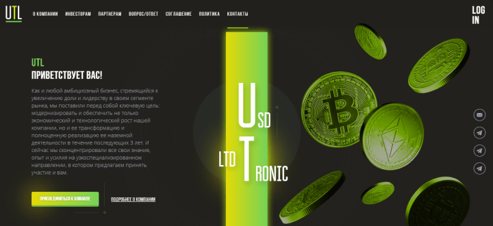 Project Overview UsdTronic LTD