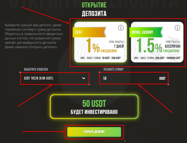 在 UsdTronic LTD 项目中创建存款