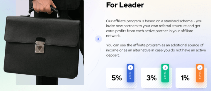 Affiliate program of the Maddio project