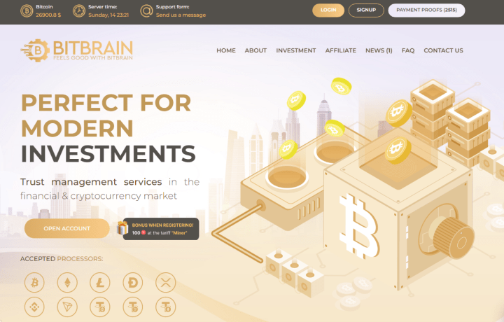 Обзор проекта Bit Brain Обзор проекта Bit Brain