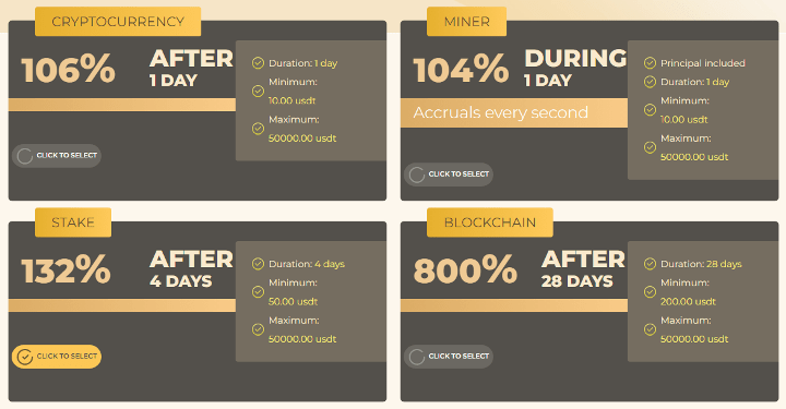 Investment plans of the Bit Brain project