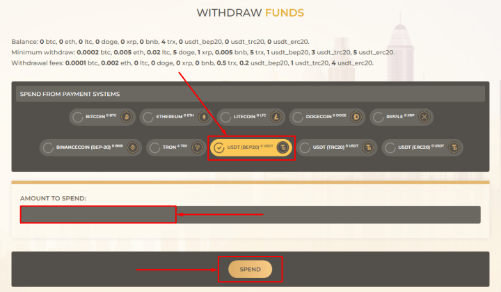 Withdrawal of funds in the Bit Brain project