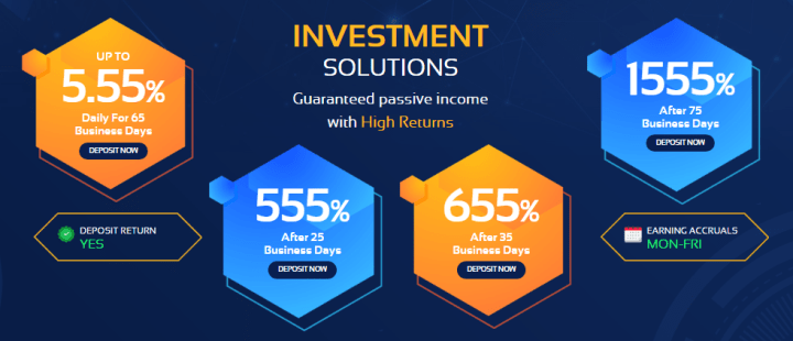 Investment plans of the Wise-Income project